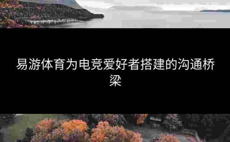 易游体育为电竞爱好者搭建的沟通桥梁